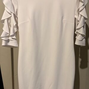 Elegant White Ruffle Sleeve Dress